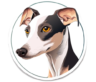 Italian GreyHound Estate